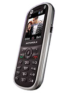 Motorola WX288 especificación del modelo